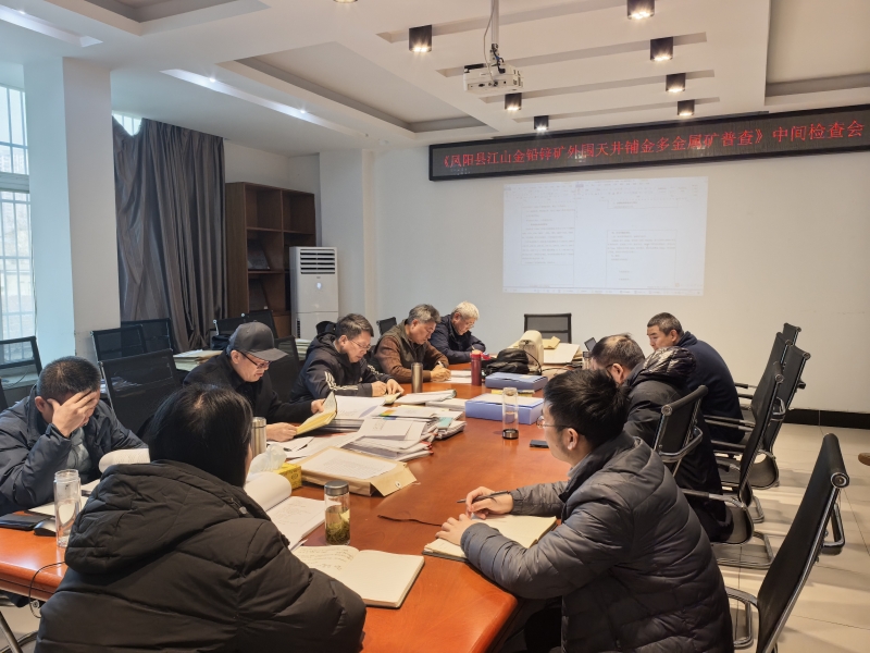 “凤阳县江山金铅锌矿外围天井铺金多金属矿普查”项目通过中间检查