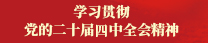 学习贯彻党的二十届四中全会精神